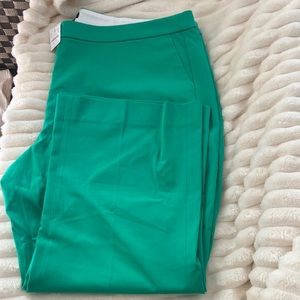 NWT J Crew Factory pants